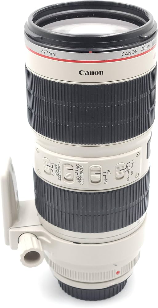 Canon Lens - EF 70-200mm f/2.8L IS II USM-Black : Amazon.in