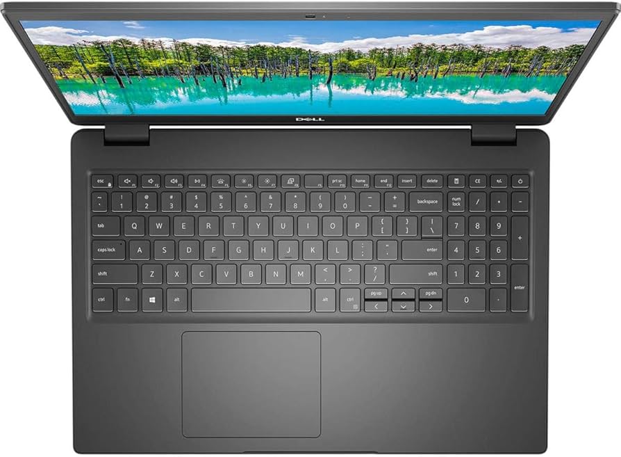 Amazon.com: Dell Latitude 3510 15.6