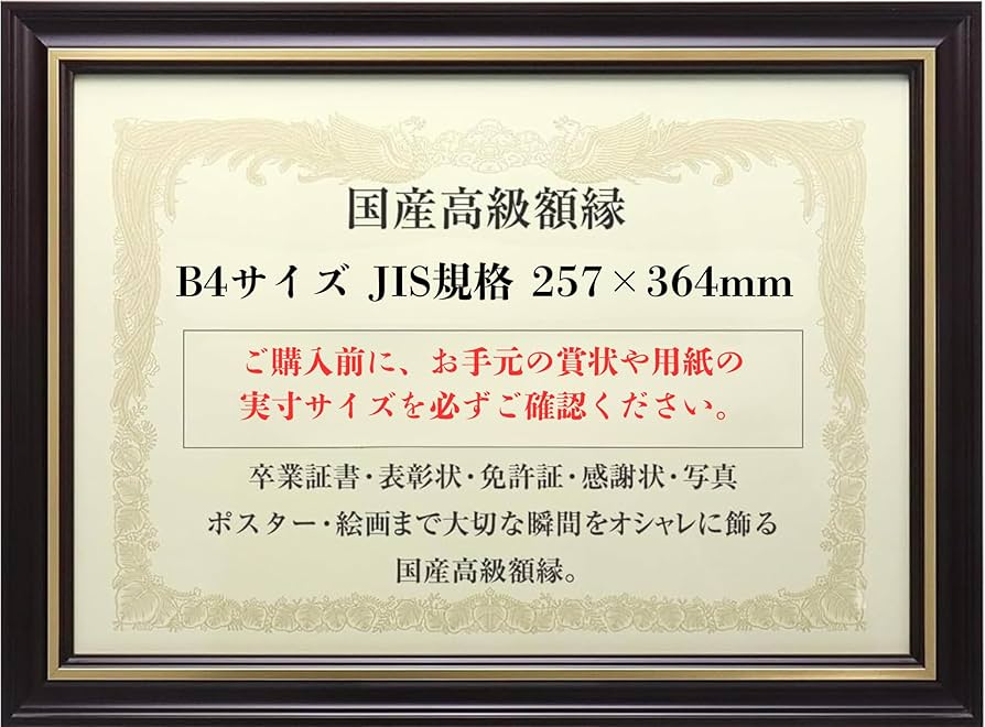 Amazon.co.jp: 【国産高級木製額縁】看護師免許証 医師免許証 薬剤師