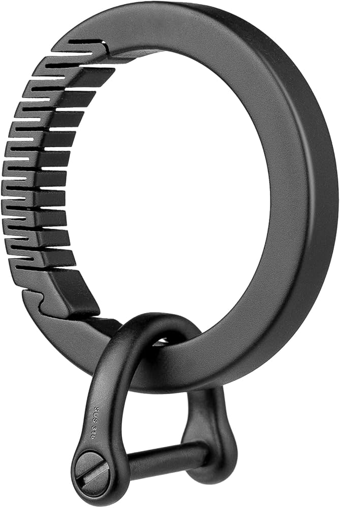 Amazon.com: TISUR Titanium Carabiner Keychain Clip,D Key Rings for