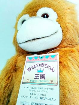 Amazon.co.jp: 貴重オランウータン 野性の赤ちゃん 王国 M ナカジマ