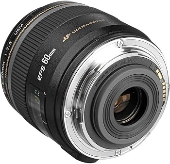 Canon EF-S 60mm f/2.8 Macro Lens : Amazon.ca: Electronics