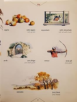 Hippocrene Children's Illustrated Swedish Dictionary: English