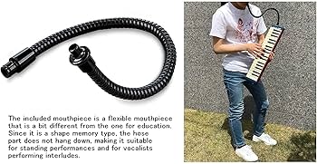 Amazon.com: Suzuki Melodica, red (M-37C plus) : Musical Instruments