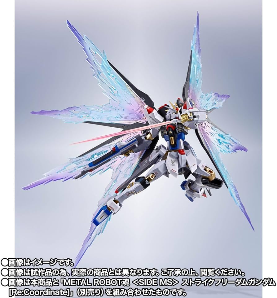 Amazon | METAL ROBOT魂 ＜SIDE MS＞ ストライクフリーダム ガ ン ダ