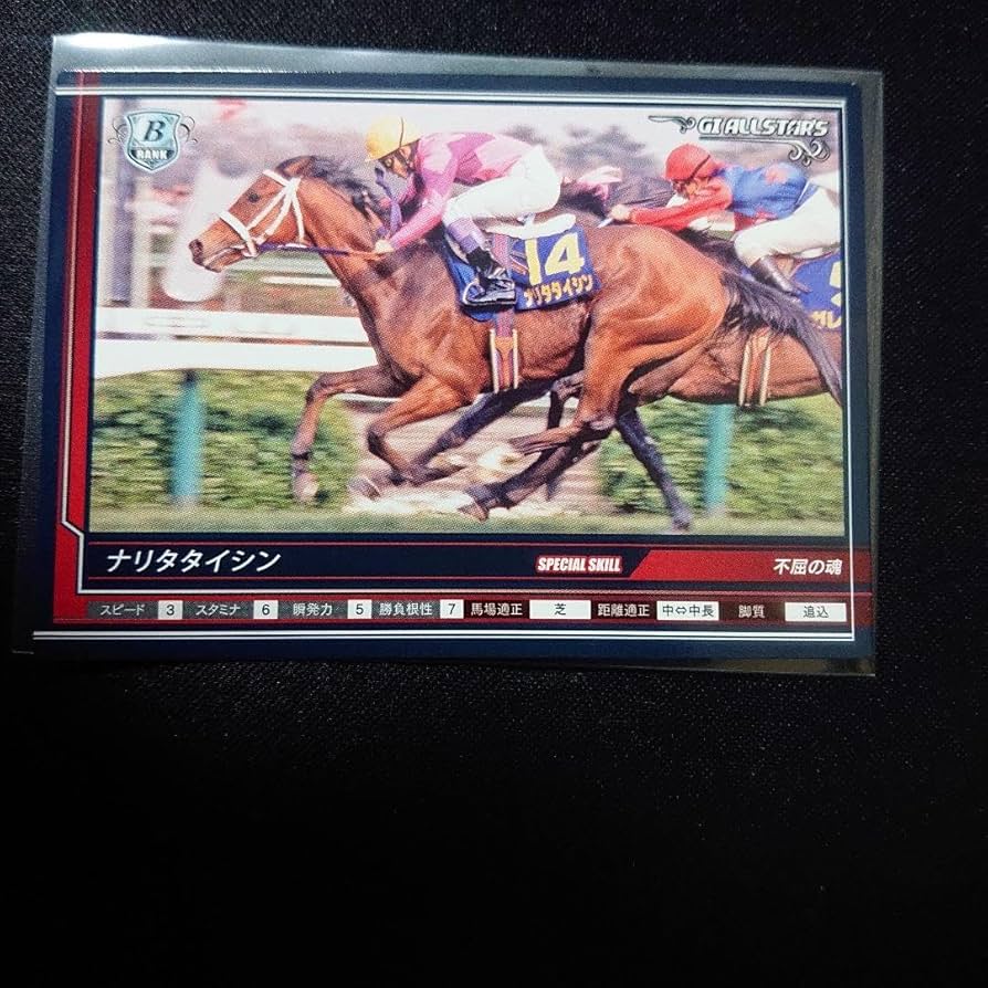 G1 ALLSTAR'S？ ナリタタイシン G1 ALLSTAR'S？ ナリタタイシン Narita