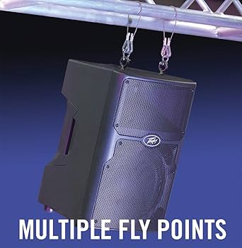 Amazon.com: Peavey PVXp 12 DSP 830-Watt 12 inch Powered Speaker