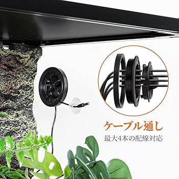 Amazon | 243L 爬虫類ケージ グラステラリウム 透明 飼育ケース 飼育