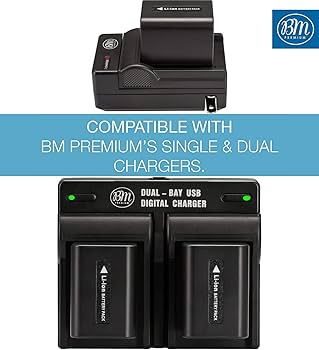 Amazon.com : BM NP-FV70 Battery for Sony FDR-AX700, PXW-Z90V, HXR