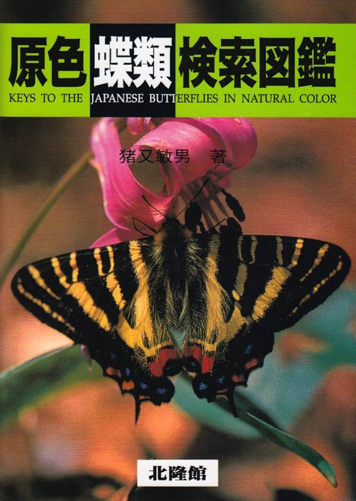 原色蝶類検索図鑑 | 猪又 敏男 |本 | 通販 | Amazon