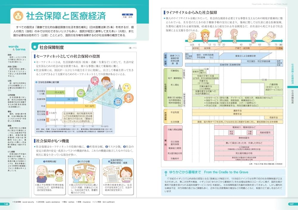 公衆衛生がみえる | 医療情報科学研究所 |本 | 通販 | Amazon