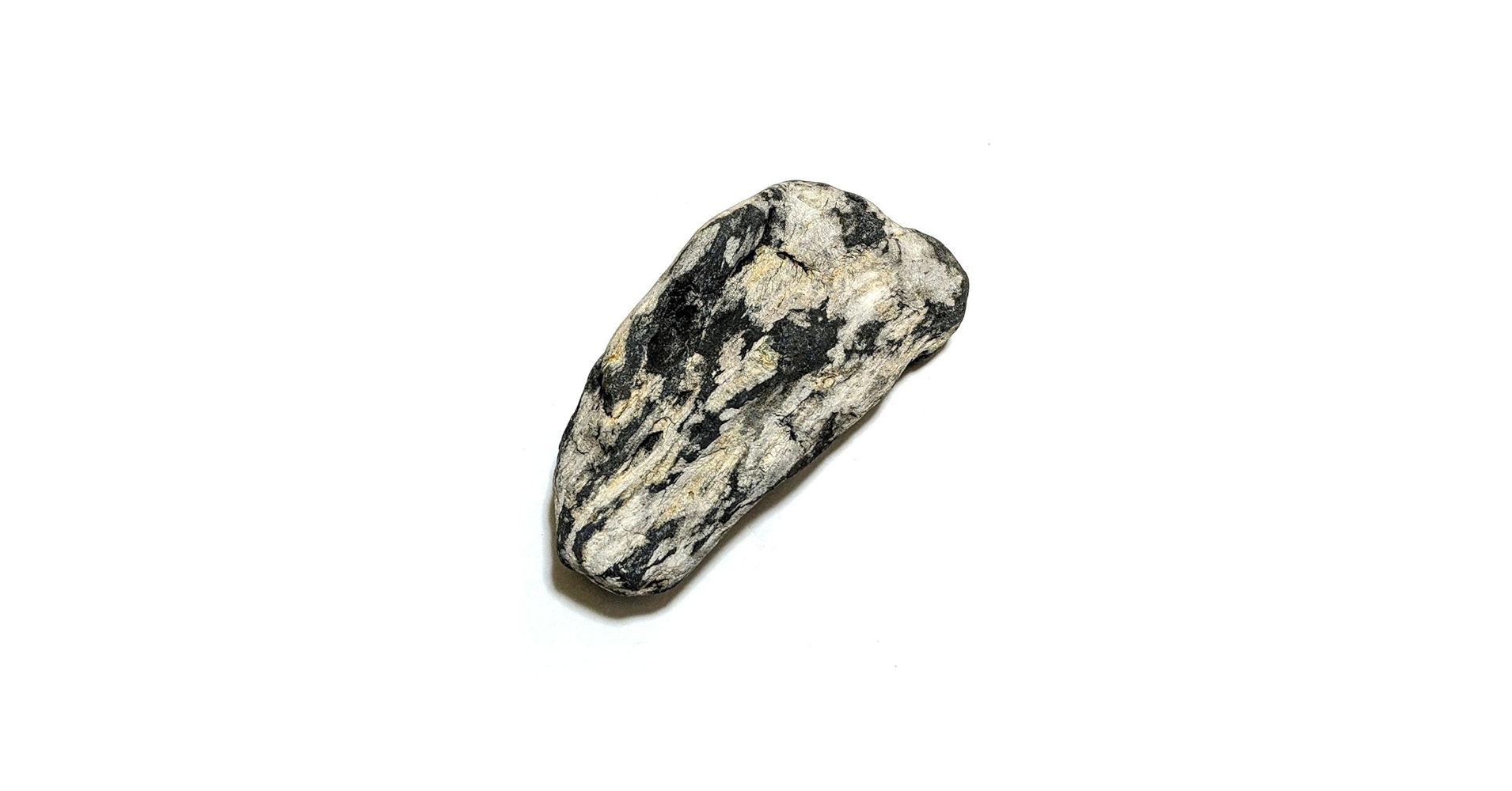 Amazon.co.jp: 青森県産 津軽錦石 珪化木 木化石 樹化石 原石 置石