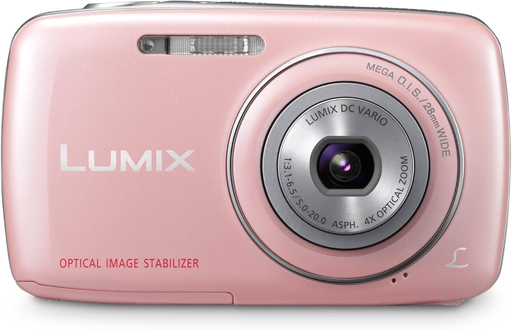 Panasonic Lumix DMC-S1 12.1 MP Digital Camera with 4x Optical