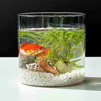 Amazon.co.jp: 水槽 プラスチック 御洒落 小型 大容量 丸 金魚水槽