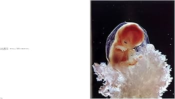 A Child is Born 赤ちゃんの誕生 | レナルト・ニルソン, ラーシュ