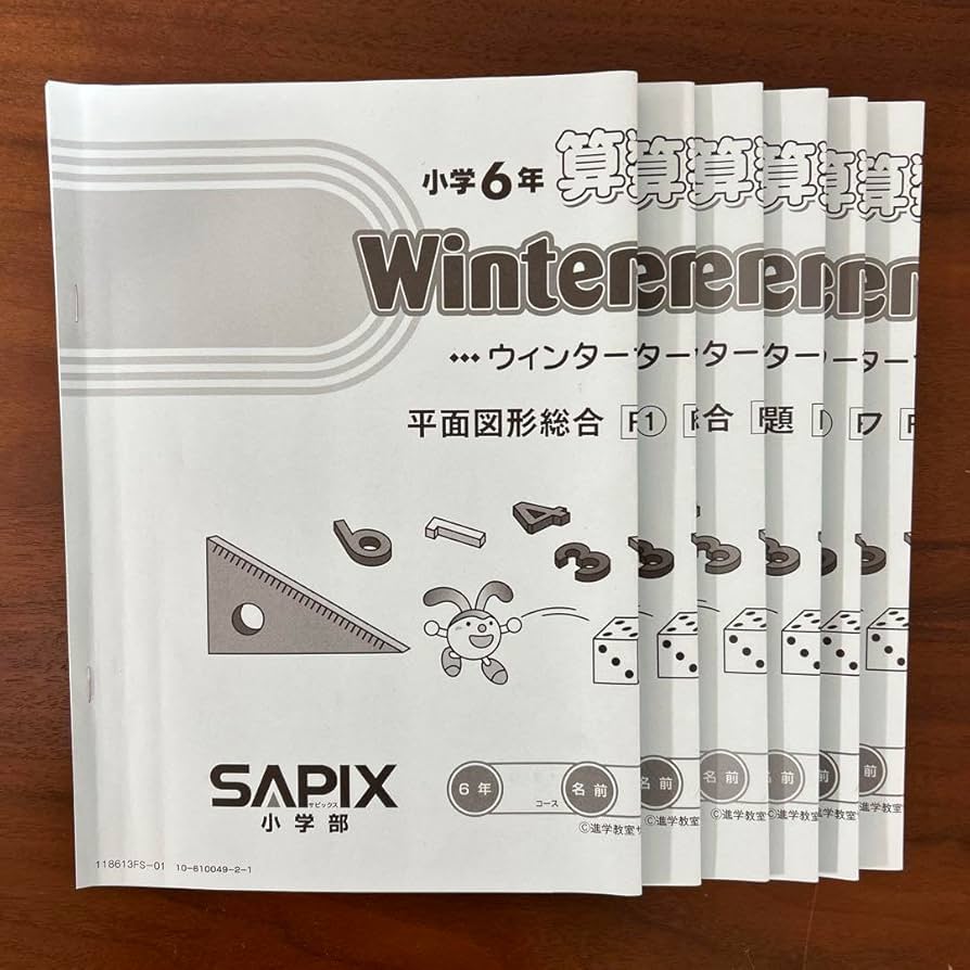 小6 理科 デイリーサピックス 24回分+春期講習•夏期講習 ウィークリー