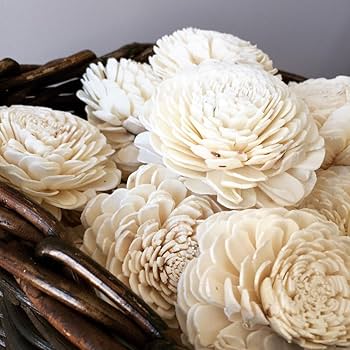 Amazon.com: Eco Flower Sola Wood Flowers - One Dozen Wholesale