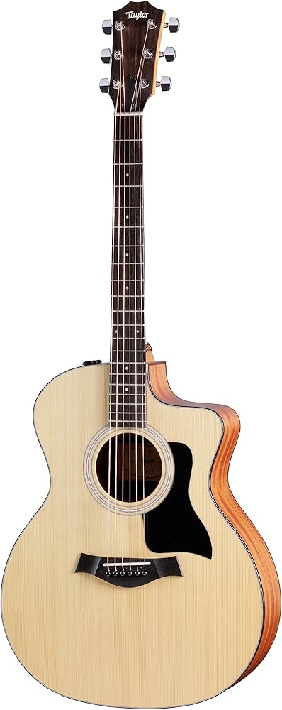 Amazon | Taylor 114CE-S Sitka Spruce Top テイラー エレクトリック