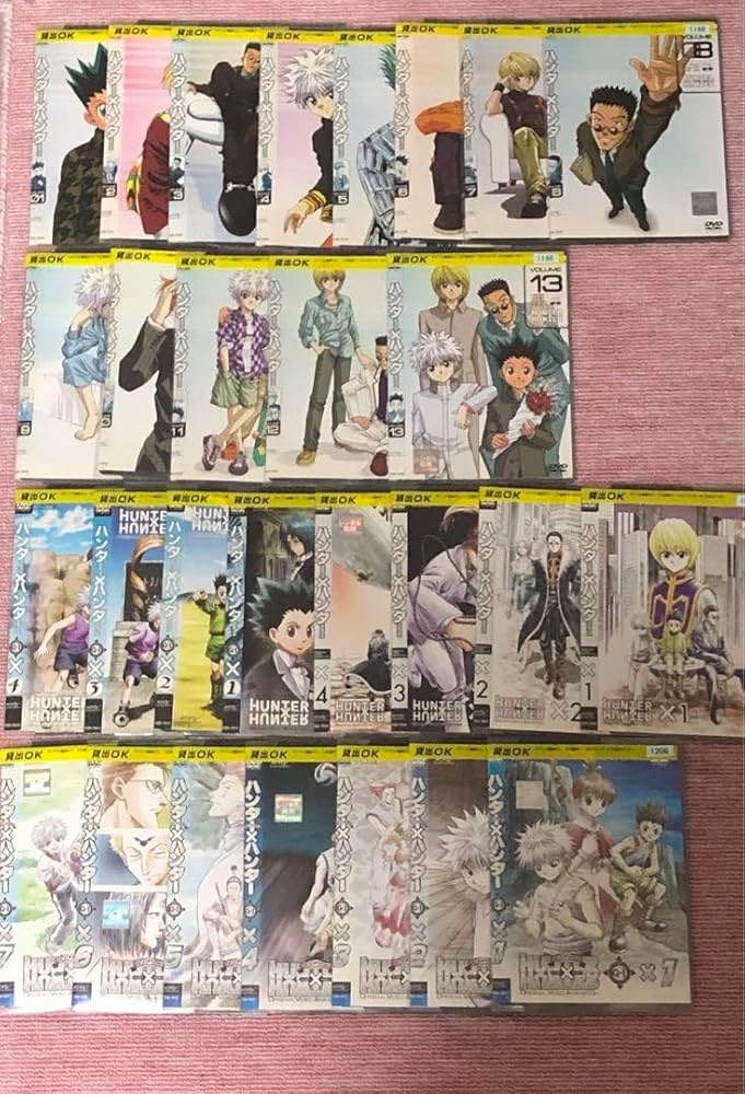 HUNTER×HUNTER 旧版 DVD 全巻セット 冨樫義博 値下げ不可 HUNTER