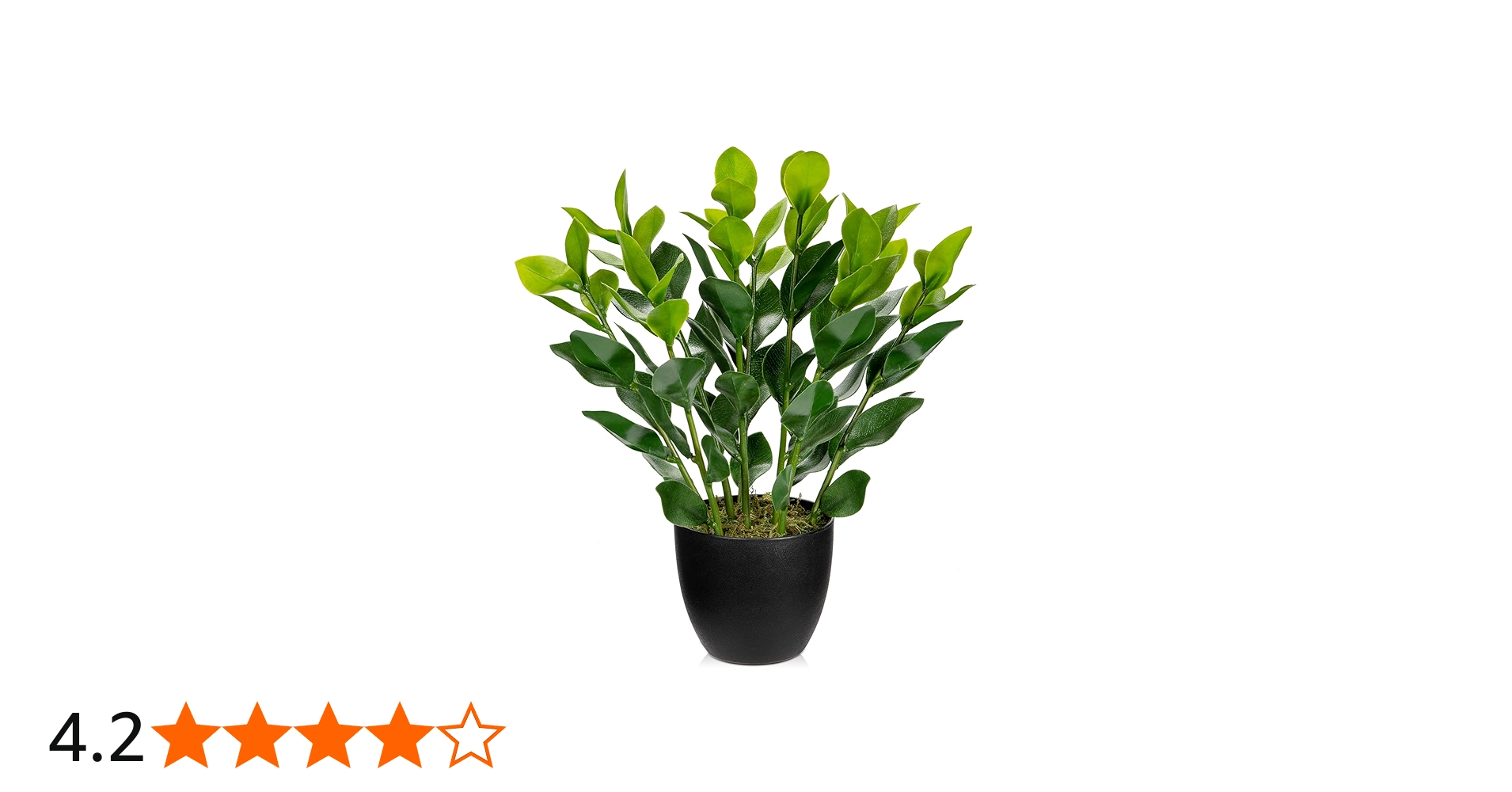 7103OpG8lTL.jpg_BO30,255,255,