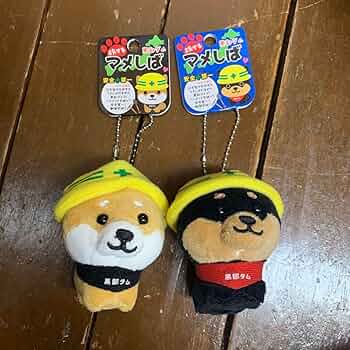 710R7ypBoWL._AC_UF350,