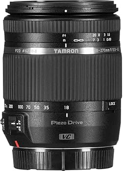 Amazon.com : Tamron 18-270mm F/3.5-6.3 Di II VC PZD TS for Nikon