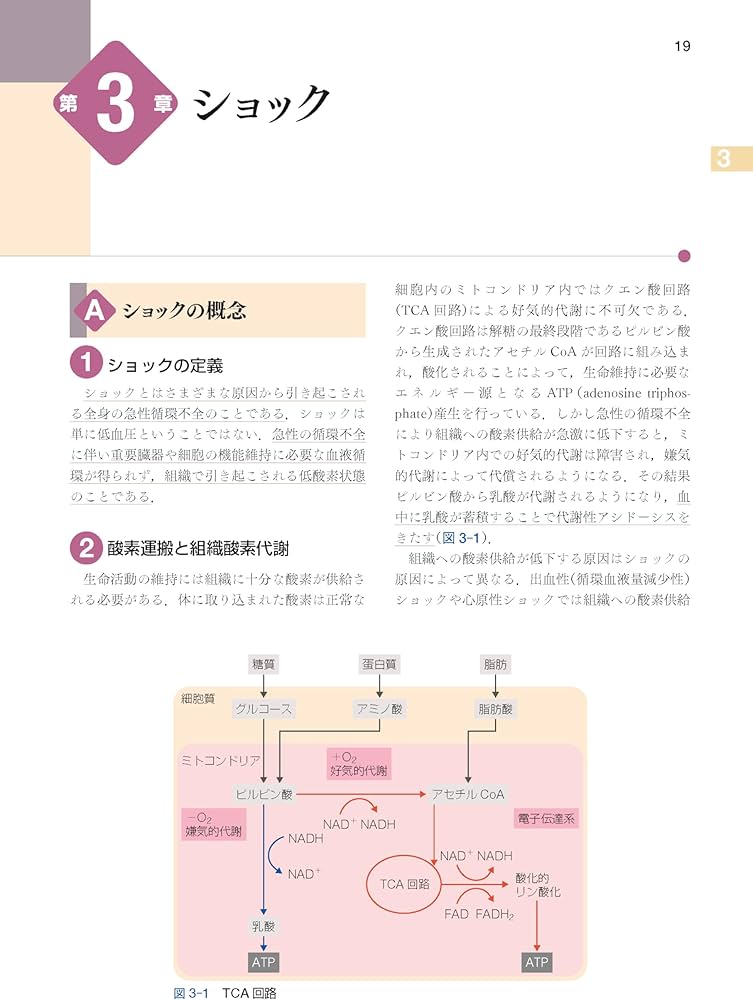 標準外科学 第17版 (Standard Textbook) | 田邉 稔, 池田 徳彦, 大木