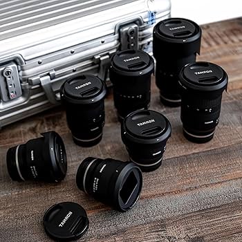 Amazon.com : Tamron 28-200 F/2.8-5.6 Di III RXD for Sony