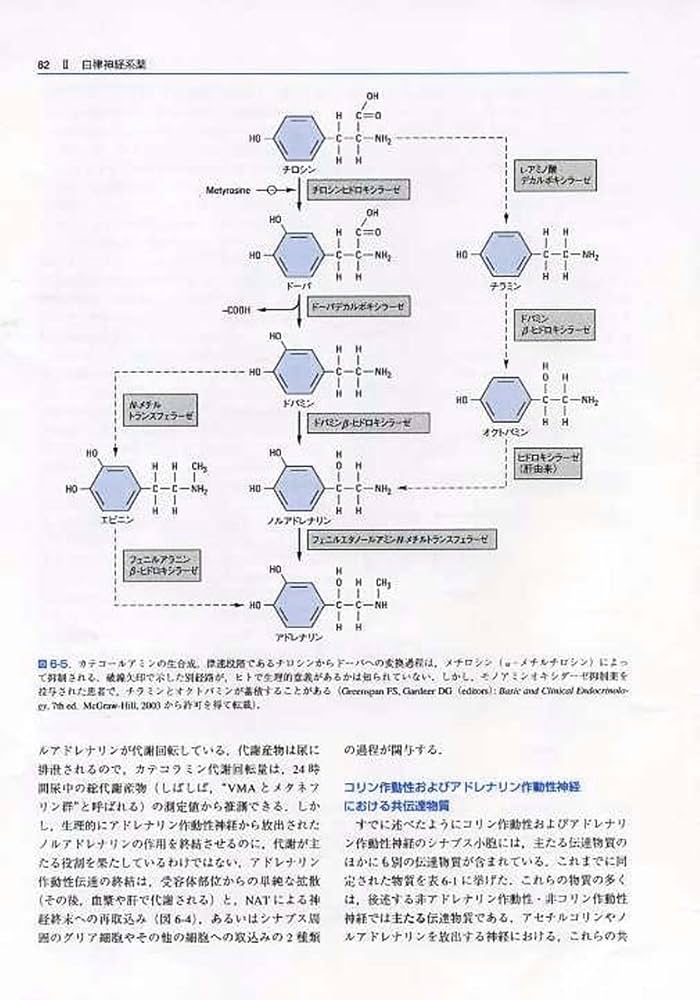 カッツング薬理学 | Bertram G.Katzung, 柳澤 輝行, 飯野 正光, 丸山