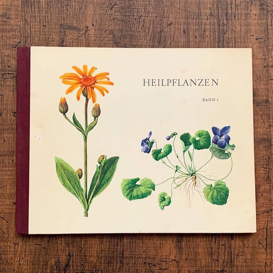 Amazon.co.jp: ドイツの古い植物図鑑(HEILPFLANZEN)/アンティーク