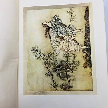 Amazon.co.jp: 現品限り アーサー・ラッカムの挿絵 代表作 『 ピーター