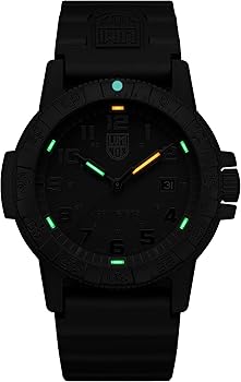 Amazon.co.jp: [Luminox] [ルミノックス］[正規輸入販売店