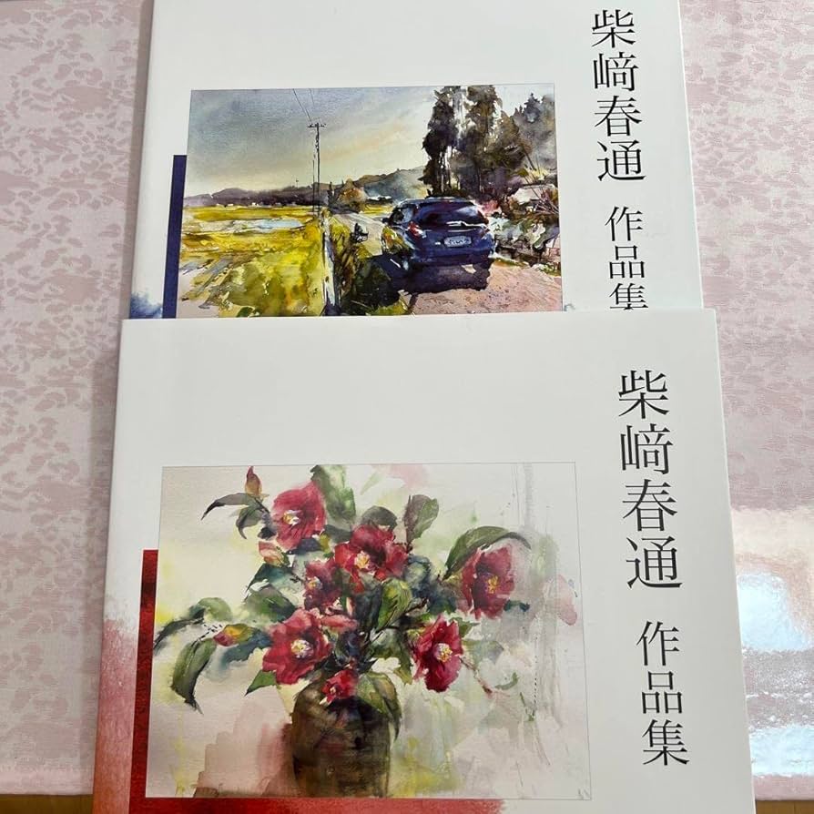 Amazon.co.jp: 柴崎春道 作品集二冊（展示会） : おもちゃ