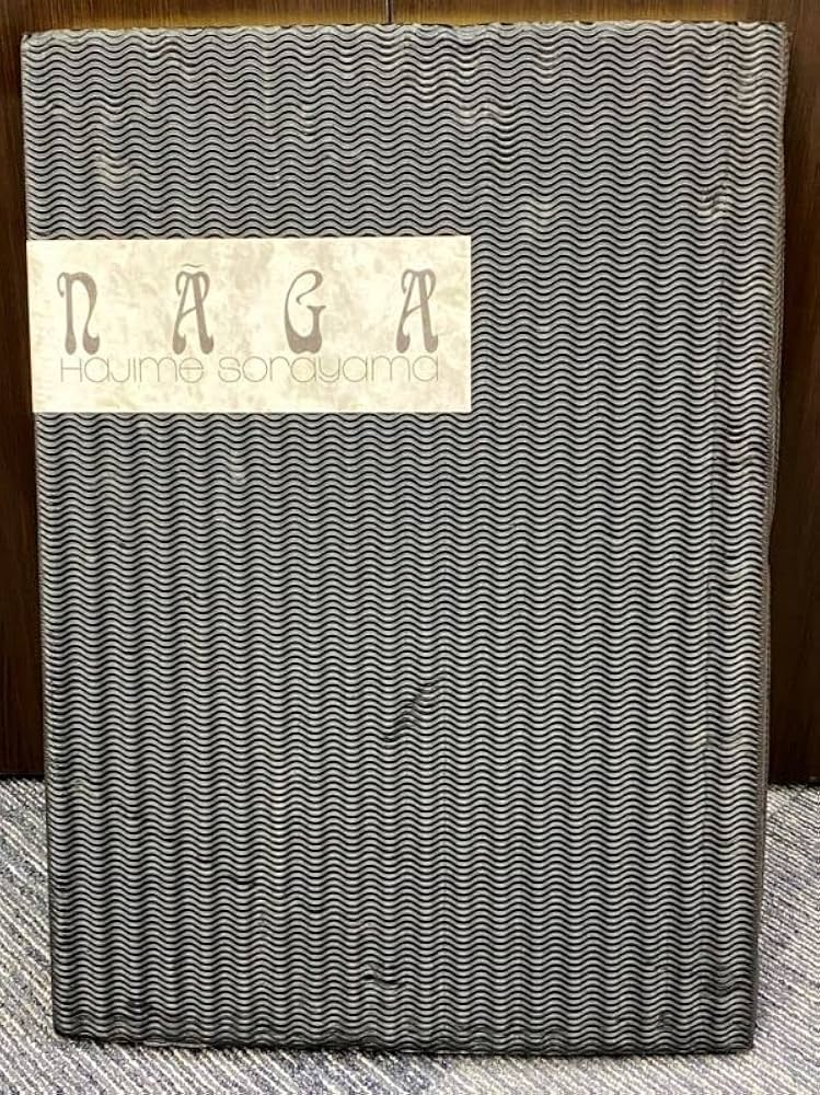 Amazon.co.jp: 希少 NAGA 特装限定版 Hajime Sorayama 画集 作品集