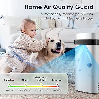 71vfjfzSAkL._AC_UF350,