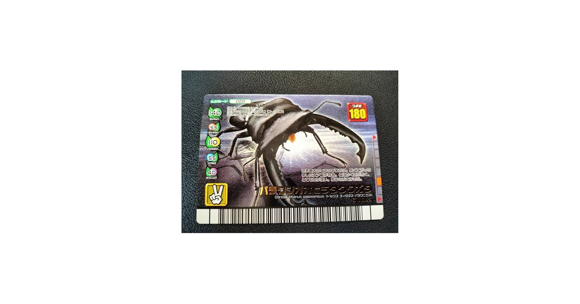 Amazon.co.jp: 甲虫王者 ムシキング パラワンオオヒラタクワガタ