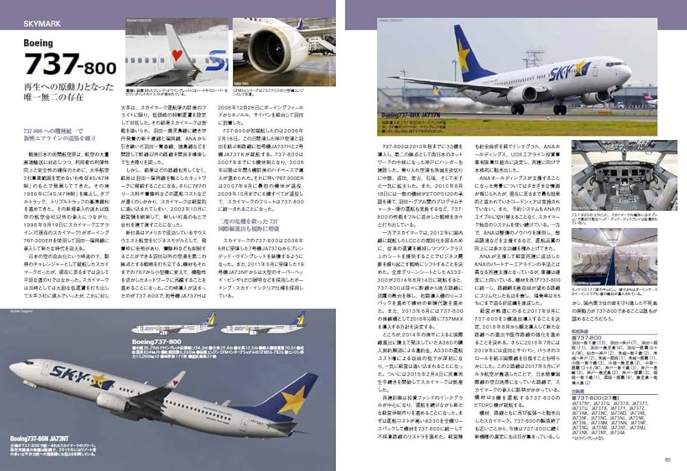 Amazon.co.jp: 日本の旅客機2018-2019 (イカロス・ムック) : 本