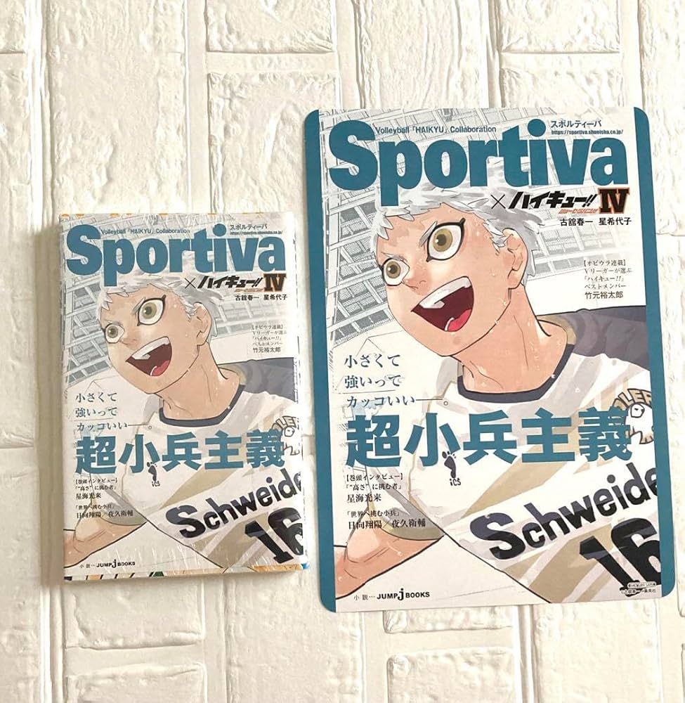 Amazon.co.jp: 4巻 小説 ハイキュー ショーセツバン ビジュアルボード