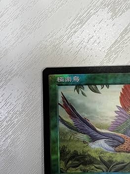 Amazon.co.jp: MTG 極楽鳥 Birds of Paradise 7ED Foil 日本語 : おもちゃ