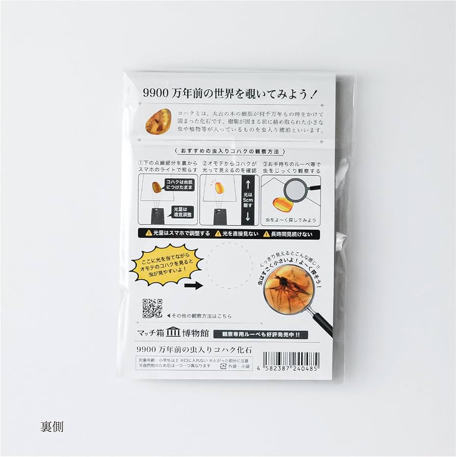 Amazon | 9900万年前の虫入りコハク化石 恐竜時代の虫入り琥珀 白亜紀