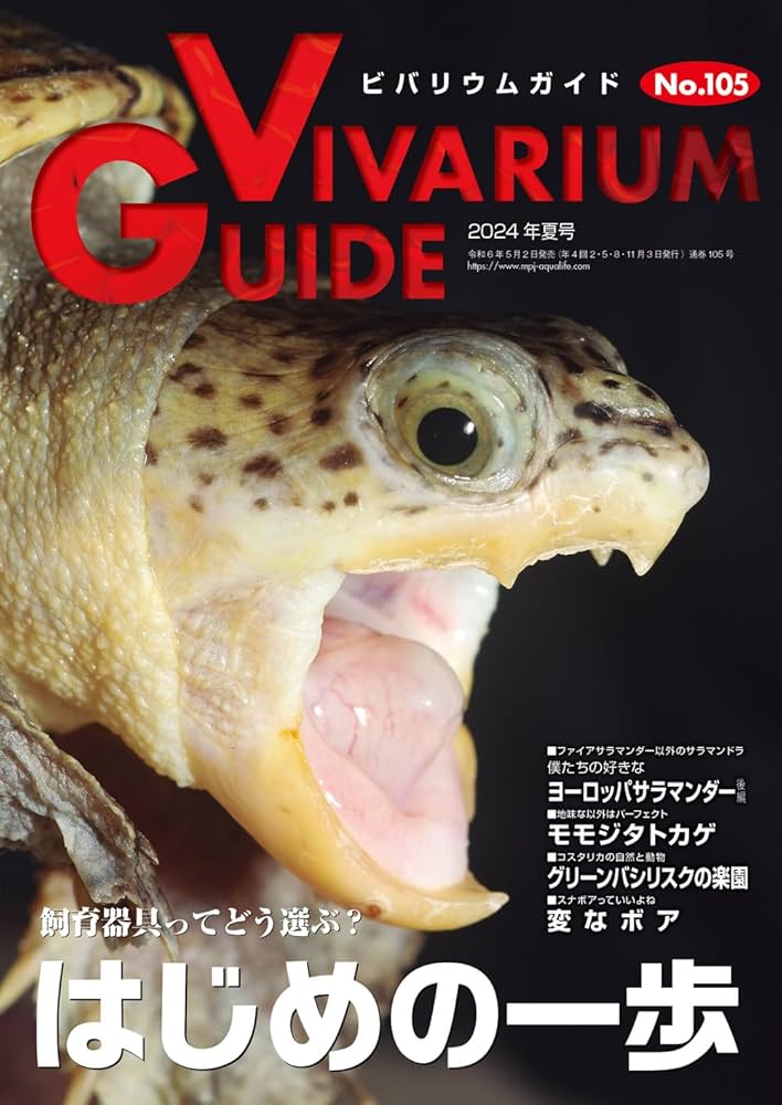 ビバリウムガイド No.105 2024年 6月号 飼育器具ってどう選ぶ？はじめ