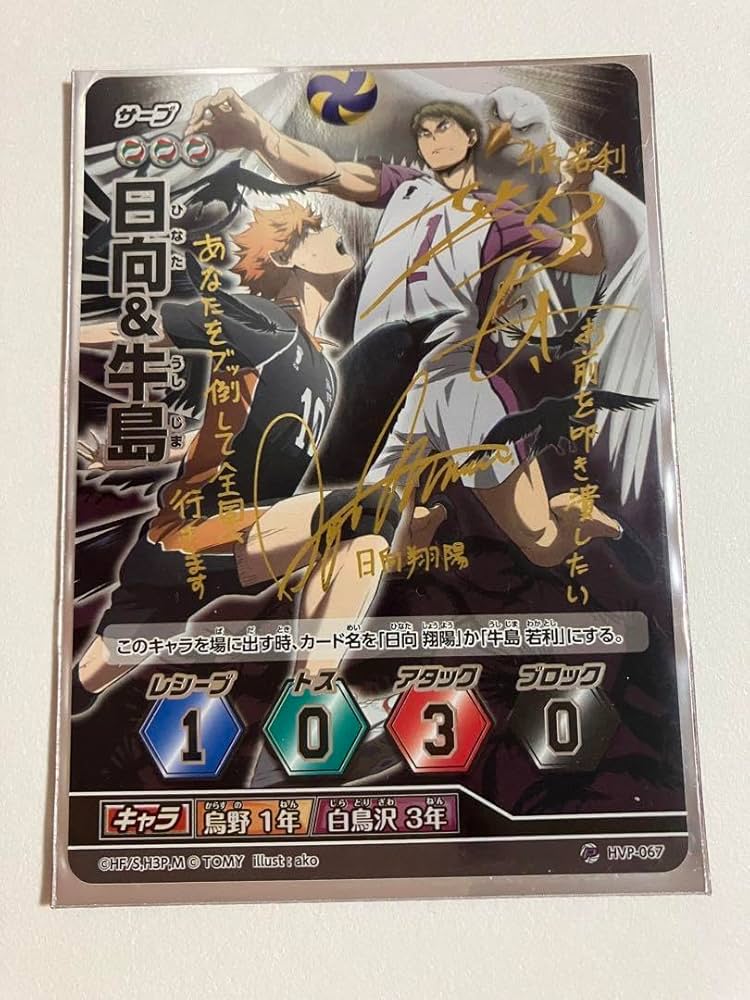 Amazon.co.jp: バボカ ハイキュー 日向 牛島 サインカード 特典 E