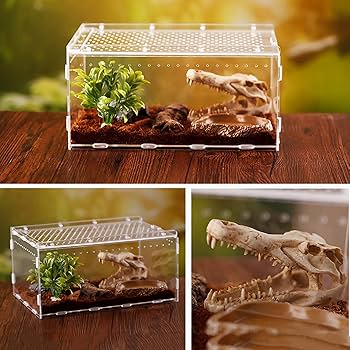 Amazon | SAYPANLAR 爬虫類 ケージ 30 × 20 × 15 CMレプタイルボックス