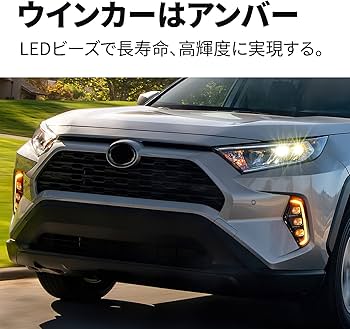 RAV4 50系 LEDフォグランプ デイライト/ウィンカー 2色切替 セット