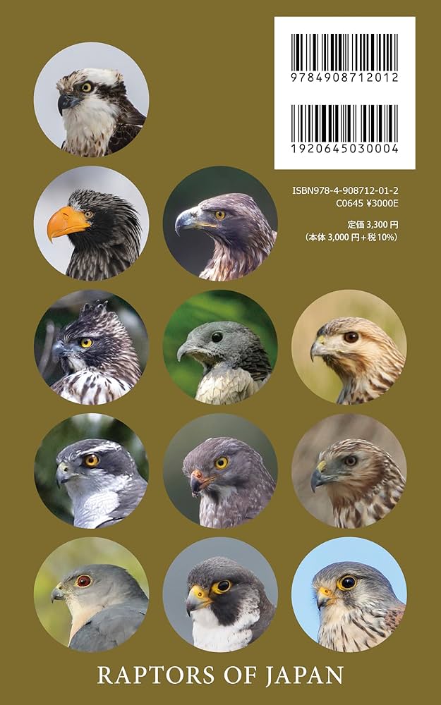 Amazon.co.jp: 識別ガイド 日本の猛禽類 タカ・ハヤブサ類 : 榛葉 忠雄