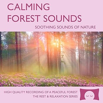 Rest and Relaxation Nature Sounds, White Noise and Music Series