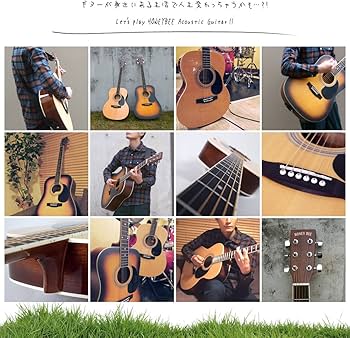 Amazon | HONEY BEE ハニービー アコースティックギター ウエスタン