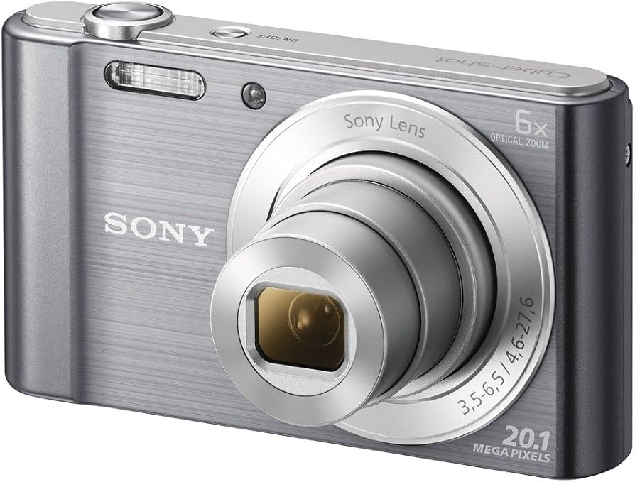 Amazon.com : Sony Cyber-Shot DSCW810 20.1MP Digital Camera