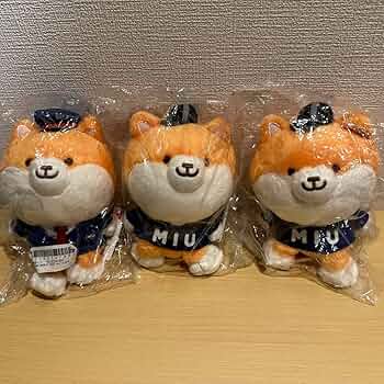 71EWjysjCKL._AC_UF350,