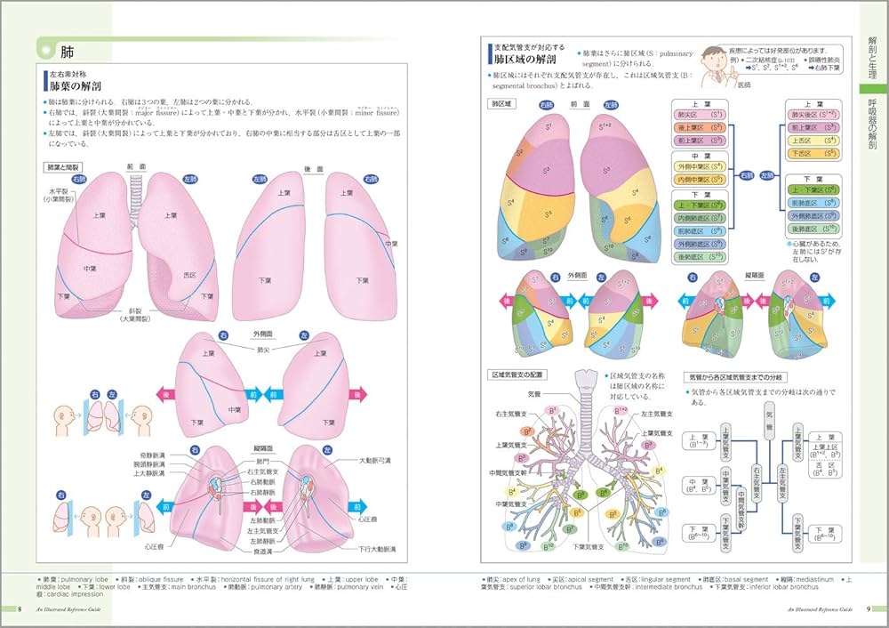 病気がみえる vol.4 呼吸器 第3版 | 医療情報科学研究所 |本 | 通販
